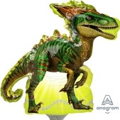 Jurassic Park Raptor Dinosaur 14