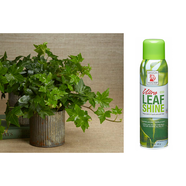 Design Master SprayLeaf Shine 659 Frogie