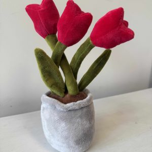 Velvet Tulips Pot (26 CM, 3 Stems)