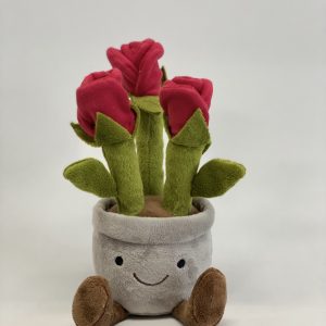 Velvet Roses Pot (22 CM, 3 Stems)